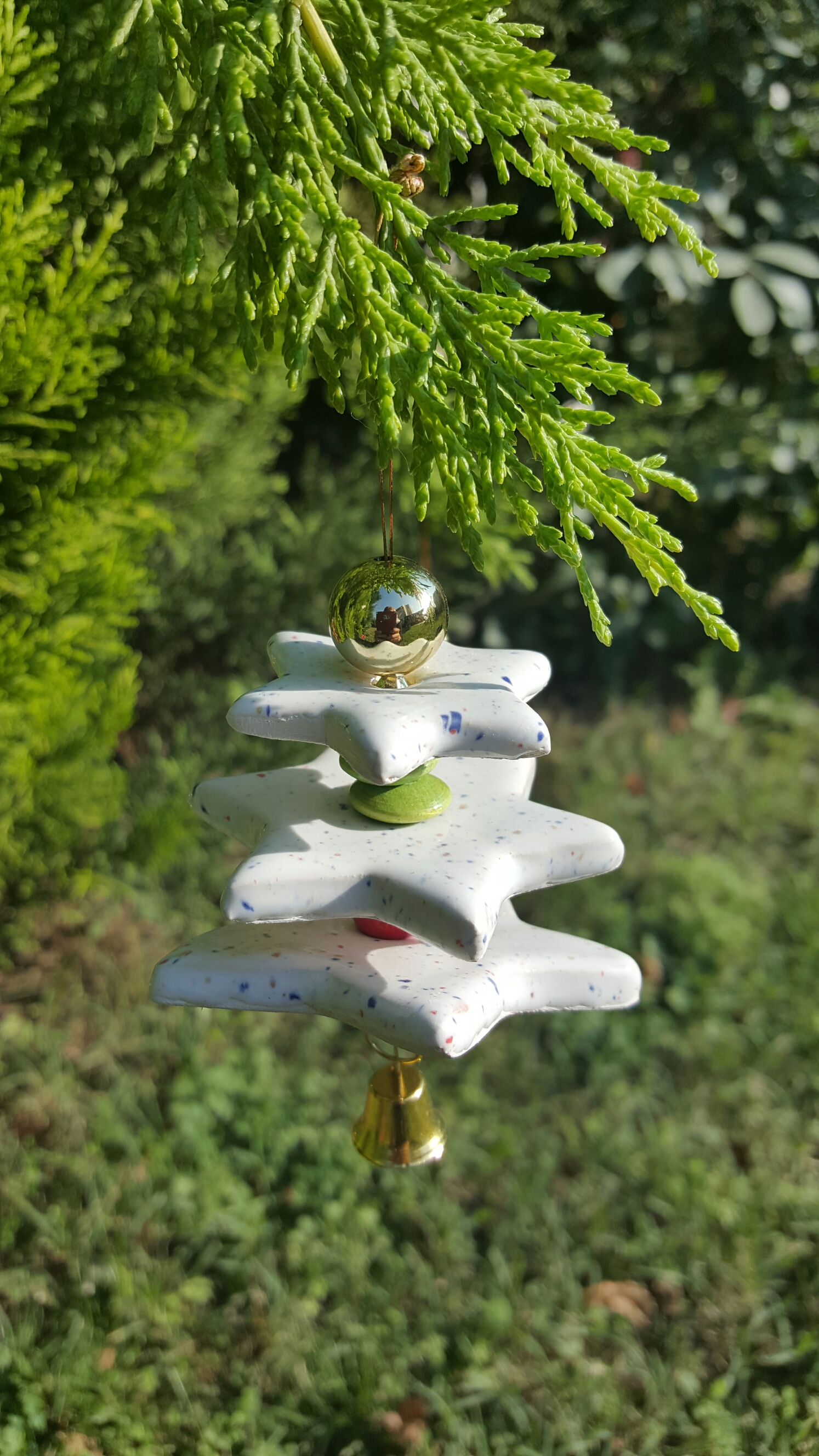 wp-1448054073493 image