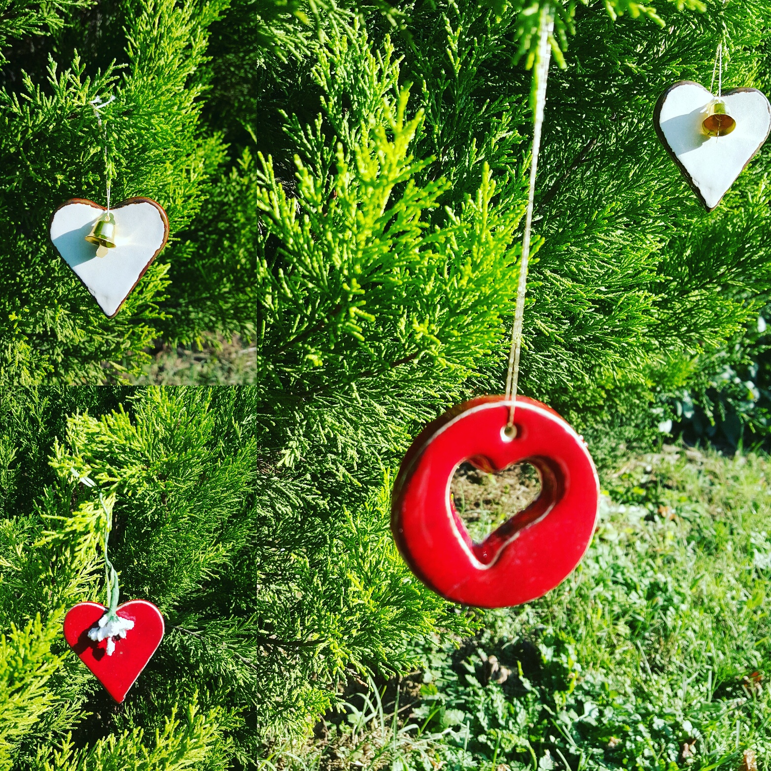 wp-1448054087542 image