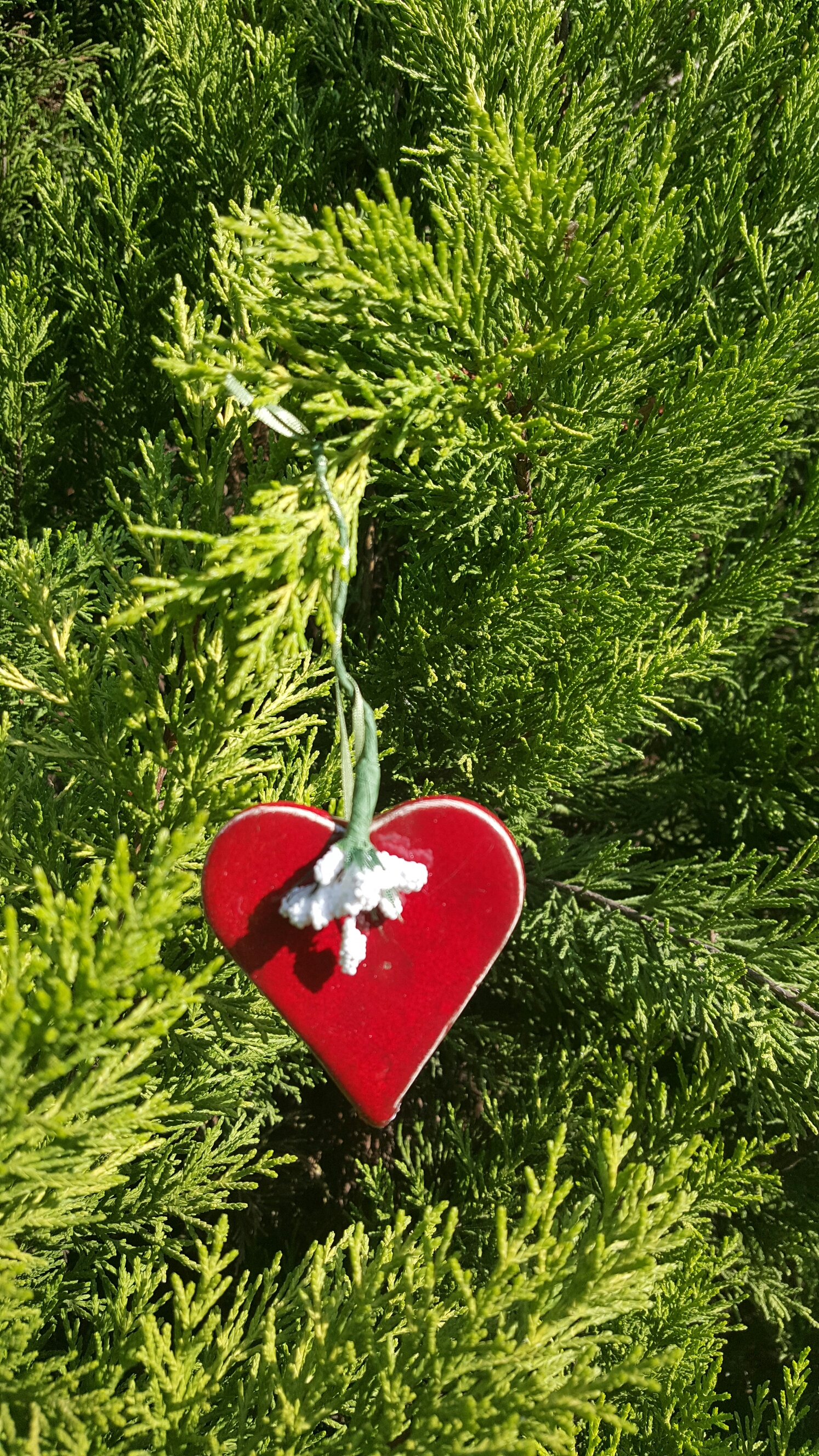 wp-1448054105912 image