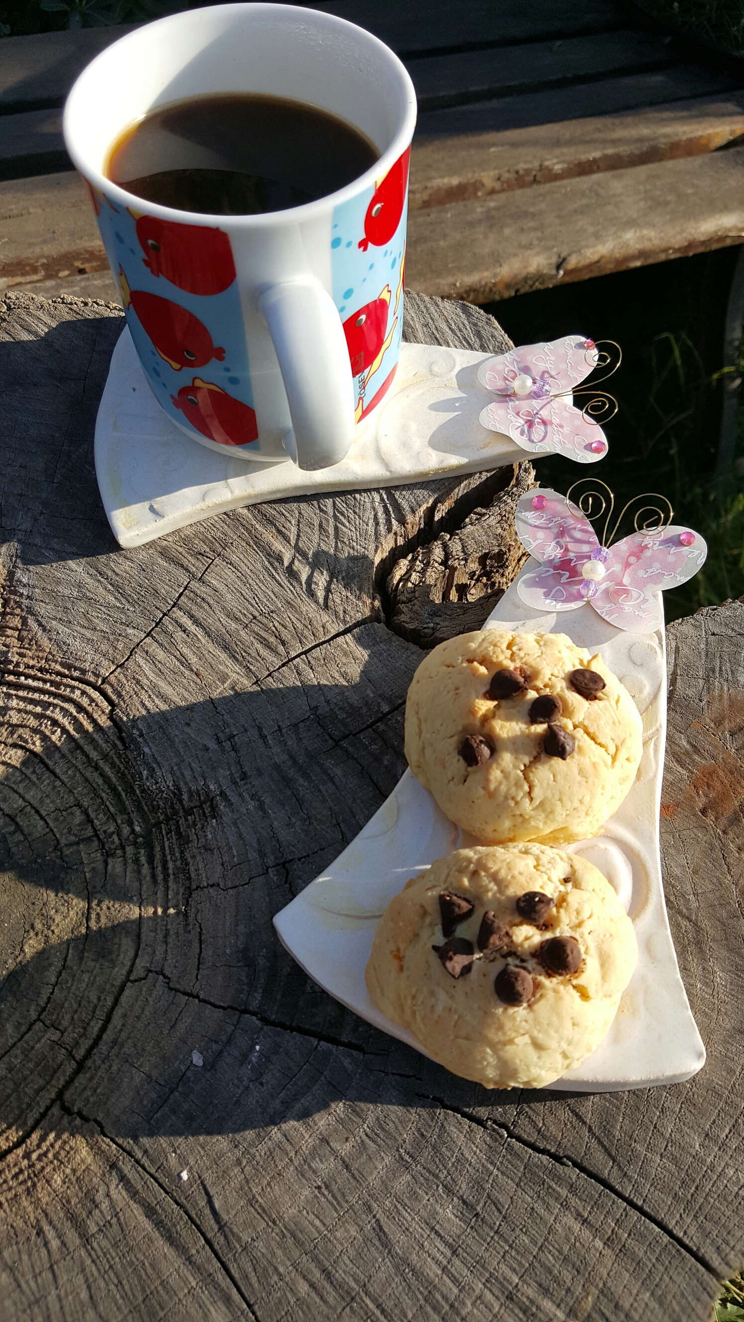 20151223_130235.jpg image